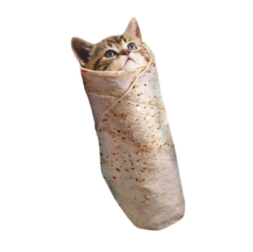 Burrito Cat wrapped