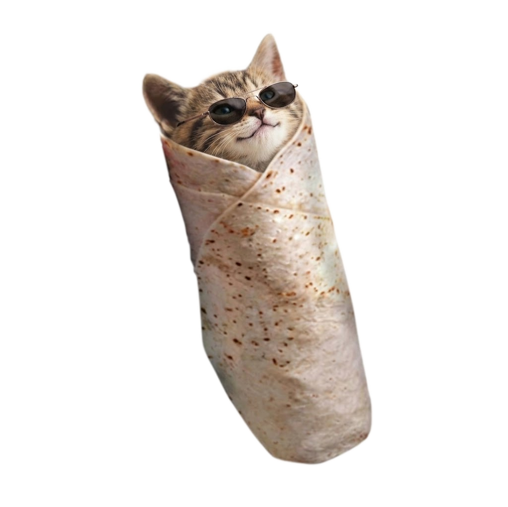 Burrito Cat, shades on